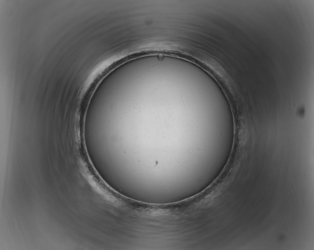 X0000116881030200912291238