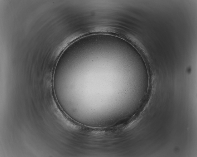 X0000116881033200912291238