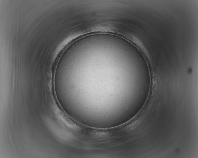 X0000116881035200912291238
