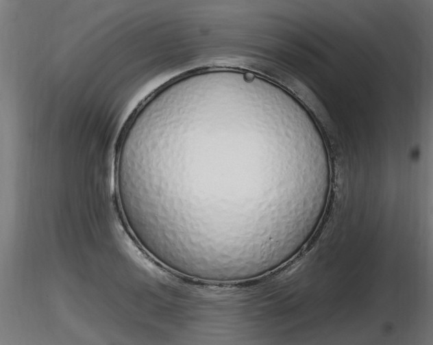 X0000116881036200912291238