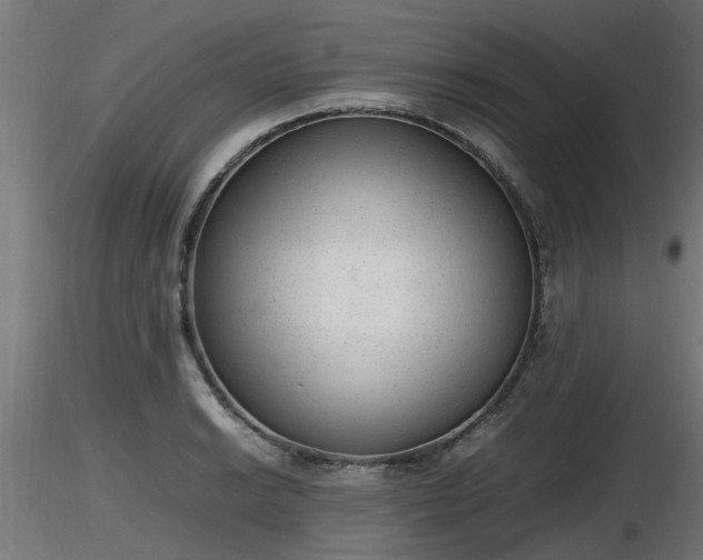 X0000116881038200912291238