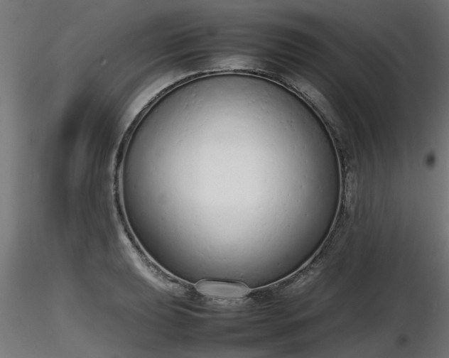 X0000116881039200912291238