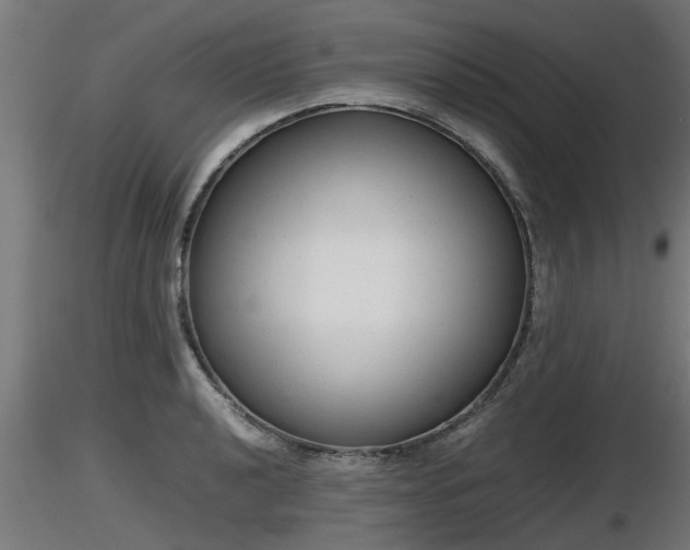 X0000116881040200912291238