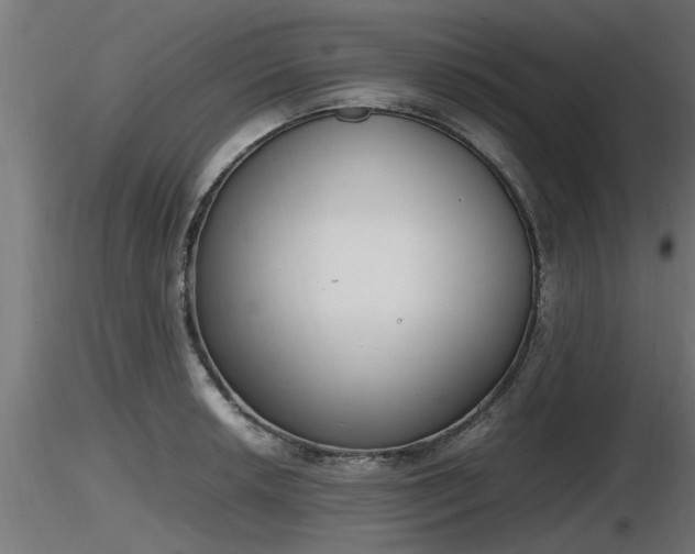 X0000116881042200912291238