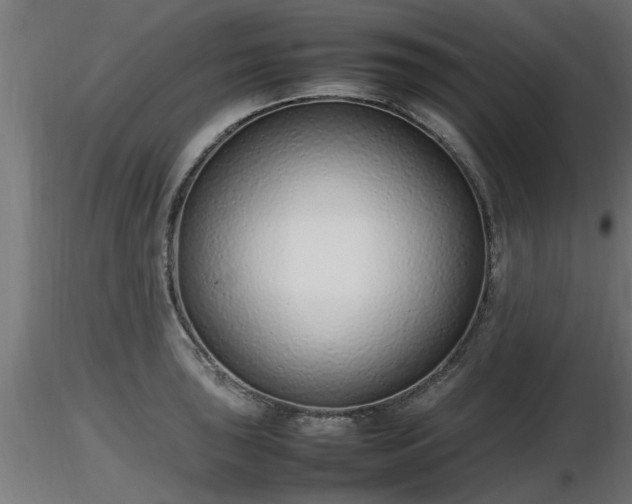 X0000116881043200912291238