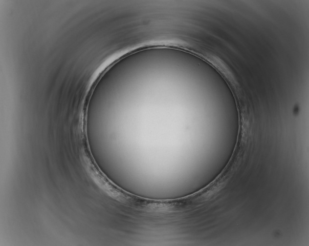 X0000116881044200912291238