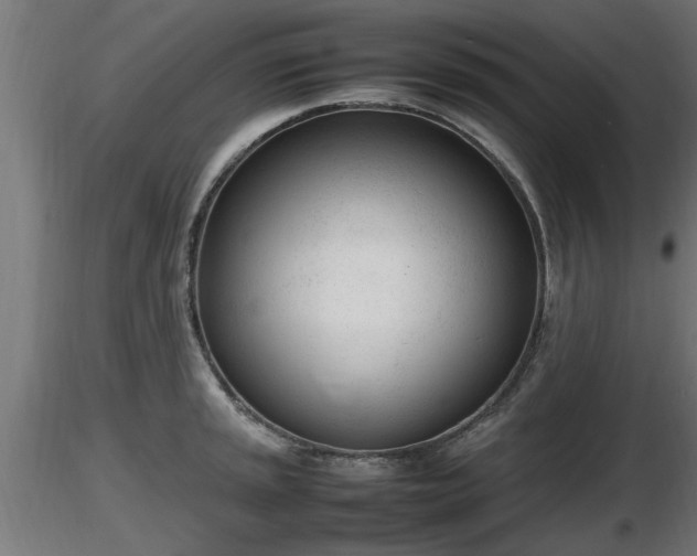 X0000116881045200912291238