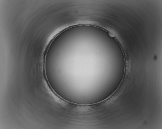 X0000116881046200912291238
