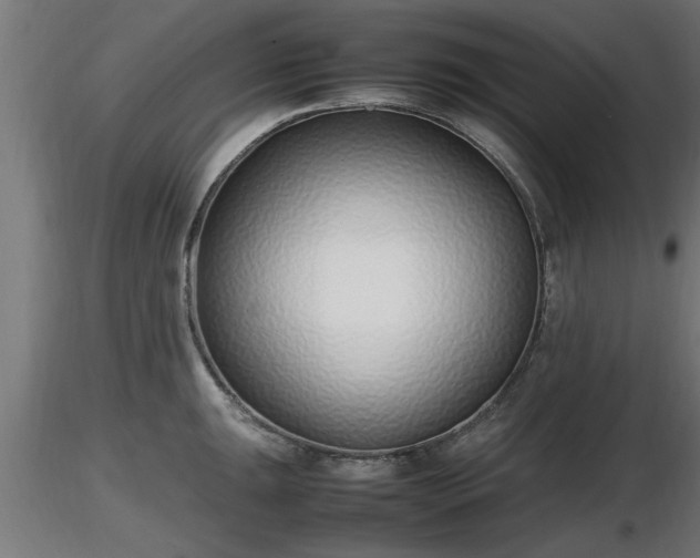 X0000116881047200912291238