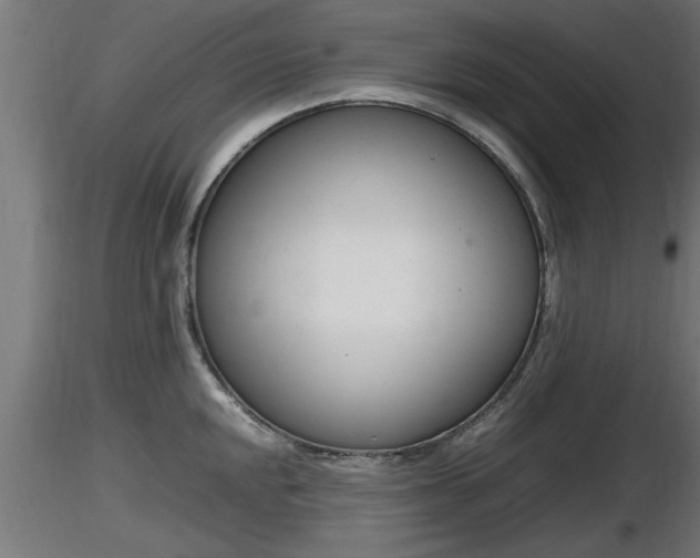 X0000116881048200912291238