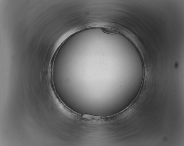 X0000116881050200912291238