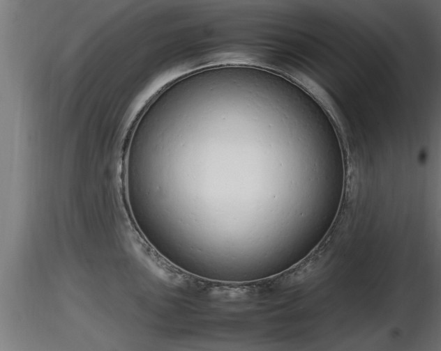 X0000116881051200912291238