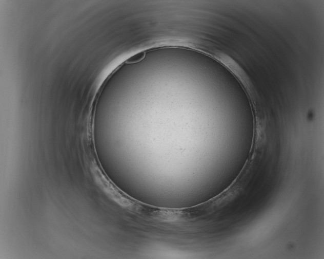 X0000116881052200912291238