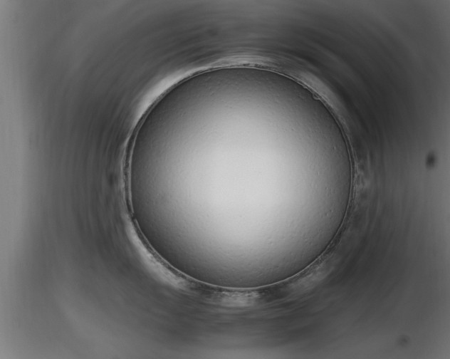 X0000116881055200912291238