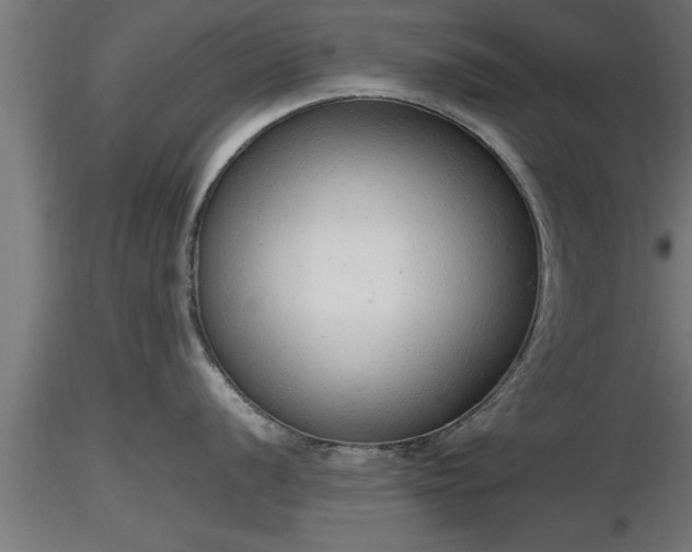 X0000116881056200912291238