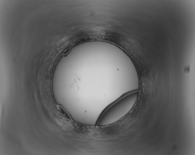 X0000116881057200912291237
