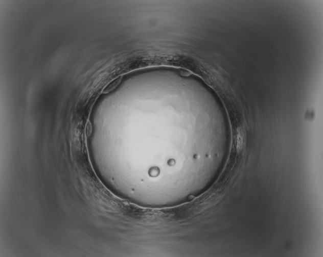 X0000116881059200912291237