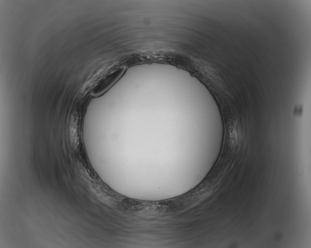 X0000116881060200912291237
