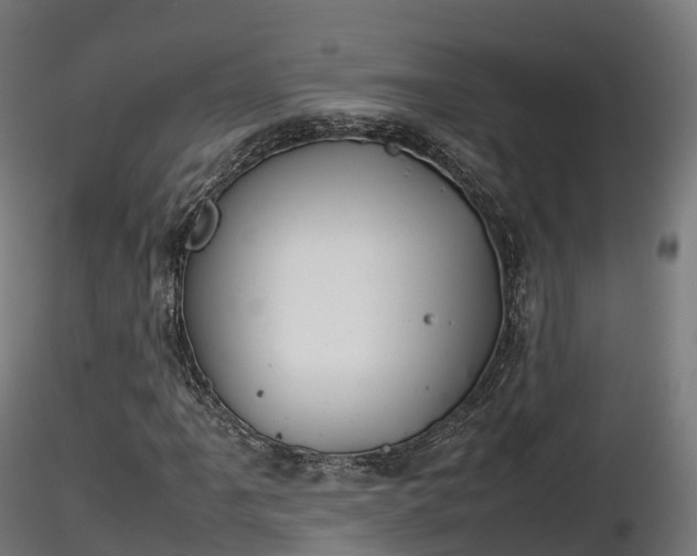 X0000116881061200912291237