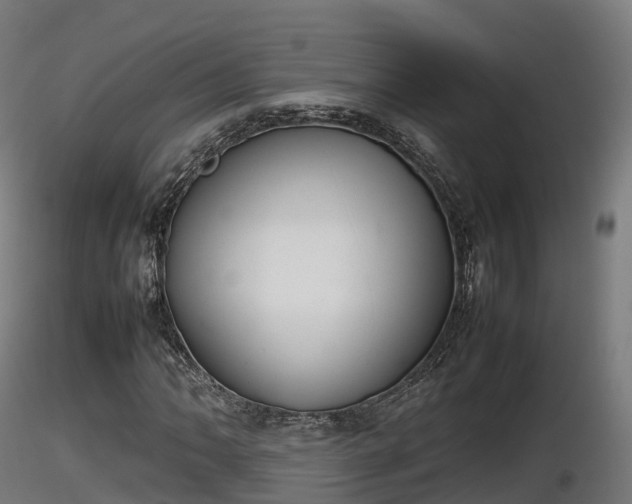 X0000116881062200912291237