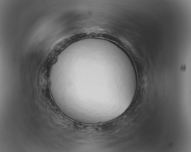 X0000116881063200912291237