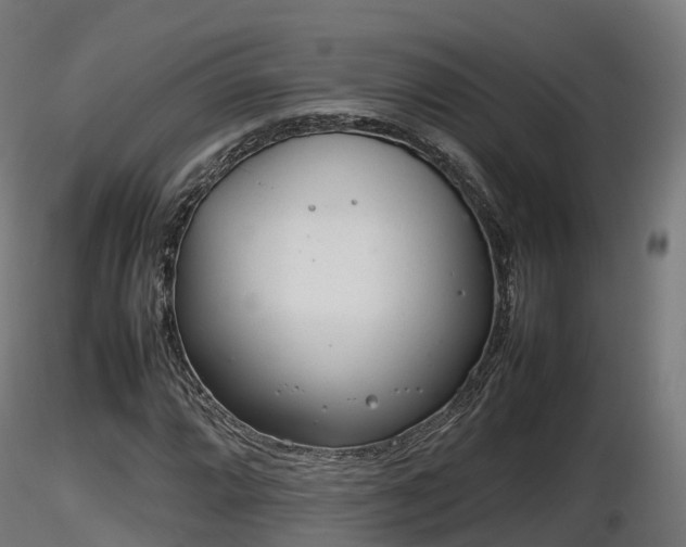 X0000116881064200912291237