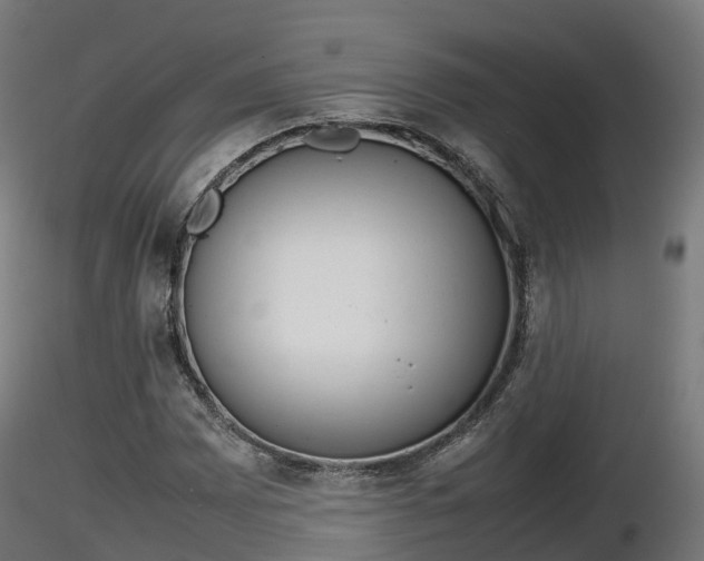 X0000116881065200912291237
