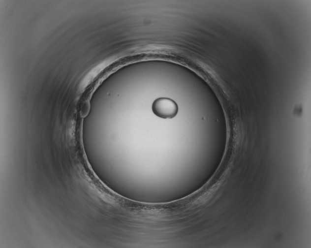 X0000116881066200912291237