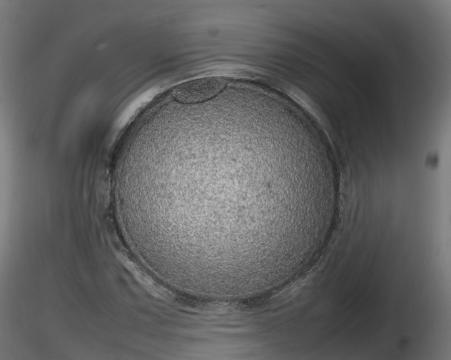 X0000116881067200912291237