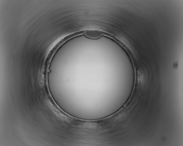 X0000116881068200912291237