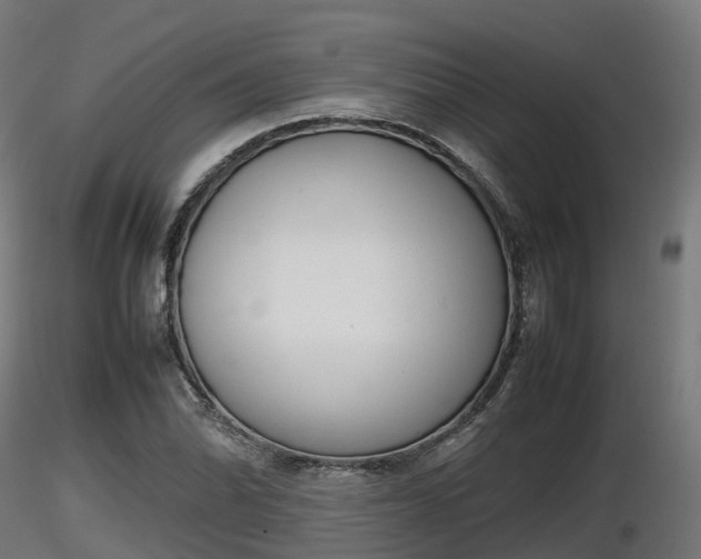 X0000116881070200912291237