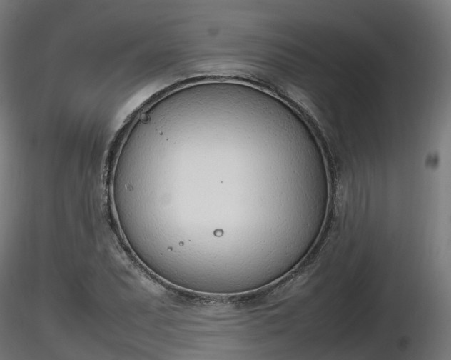 X0000116881071200912291237