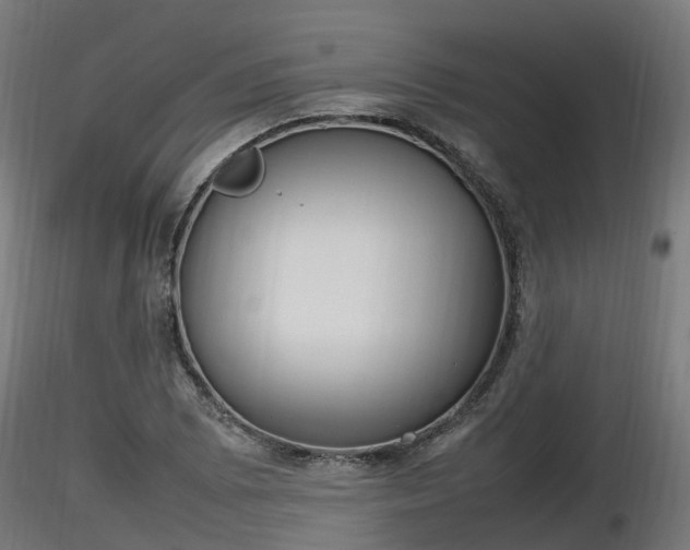 X0000116881073200912291237