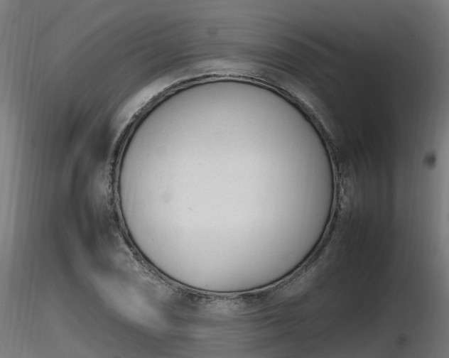 X0000116881074200912291237