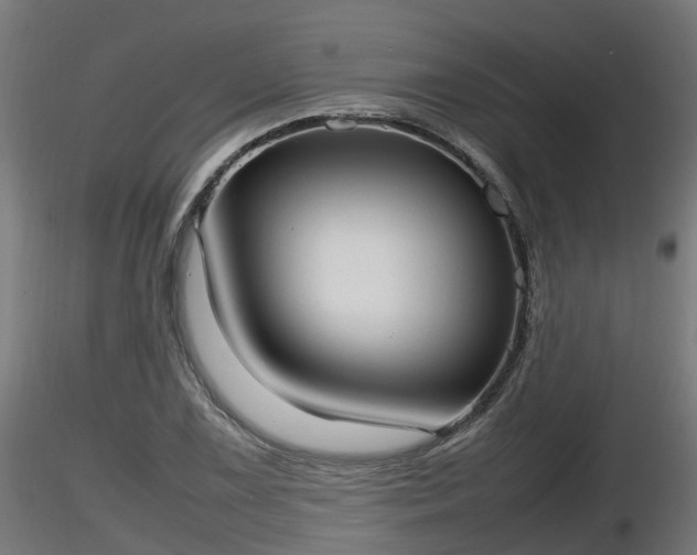 X0000116881075200912291237