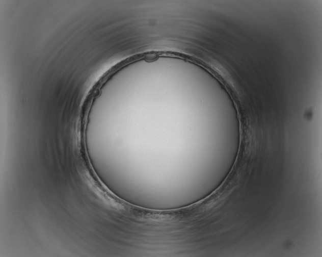 X0000116881076200912291237