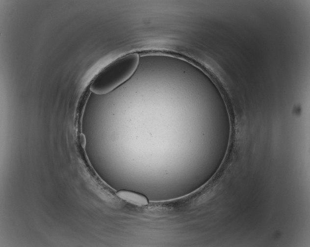 X0000116881077200912291237