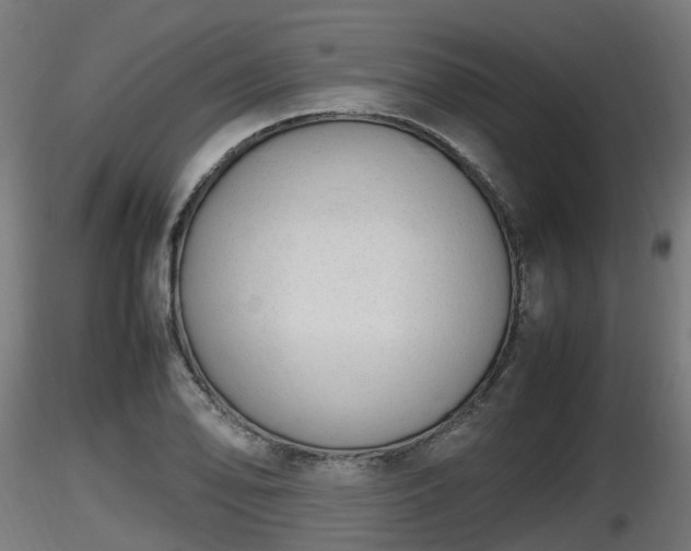 X0000116881078200912291237