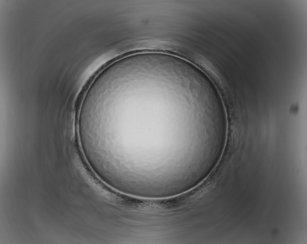 X0000116881079200912291237