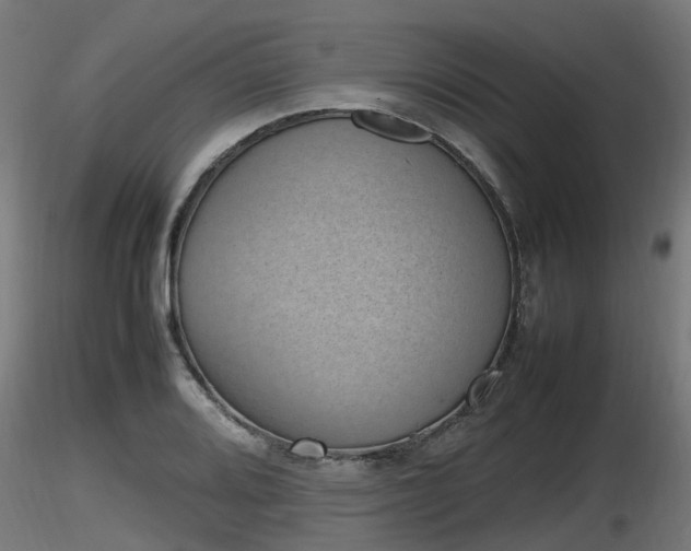 X0000116881080200912291237