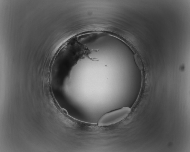 X0000116881081200912291237