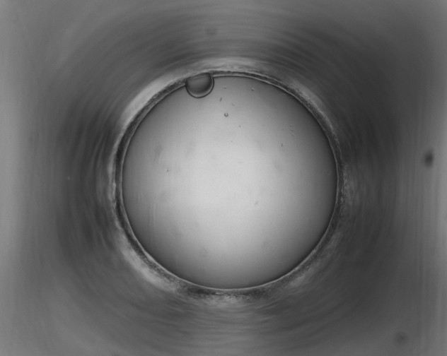 X0000116881082200912291237