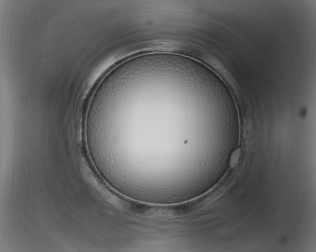 X0000116881083200912291237