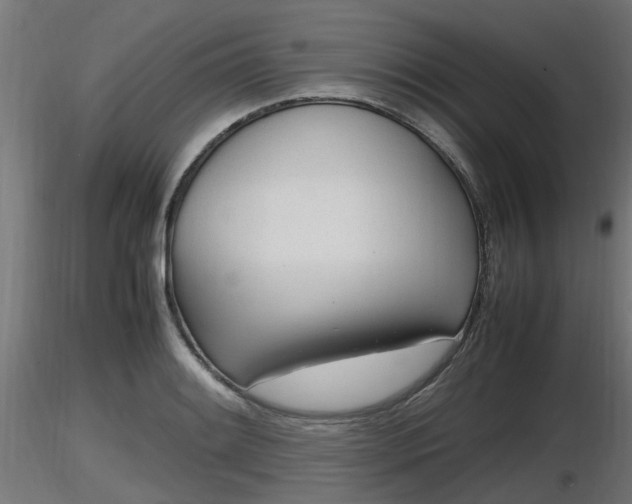 X0000116881084200912291237