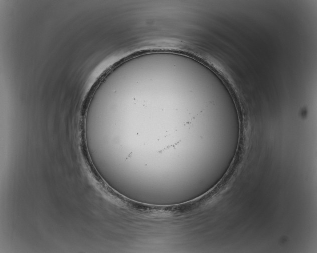 X0000116881085200912291237