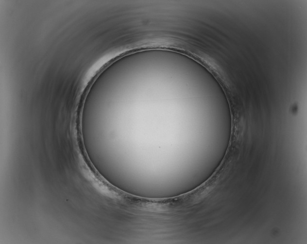 X0000116881086200912291237