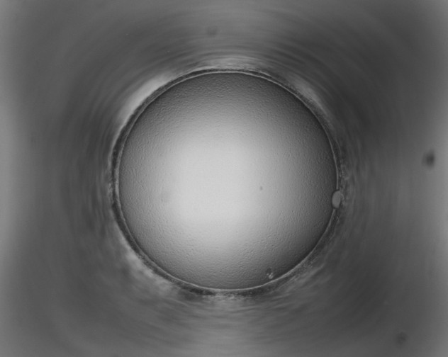 X0000116881087200912291237