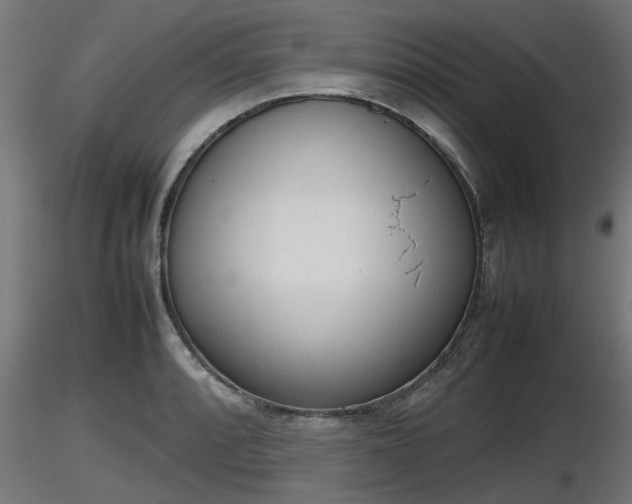 X0000116881088200912291237