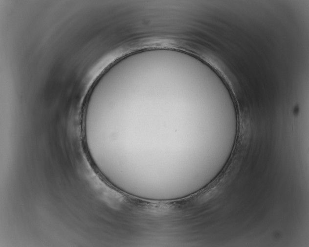 X0000116881090200912291237