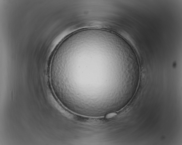 X0000116881091200912291237